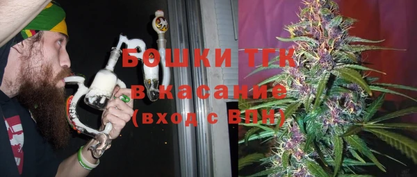 ECSTASY Каменка
